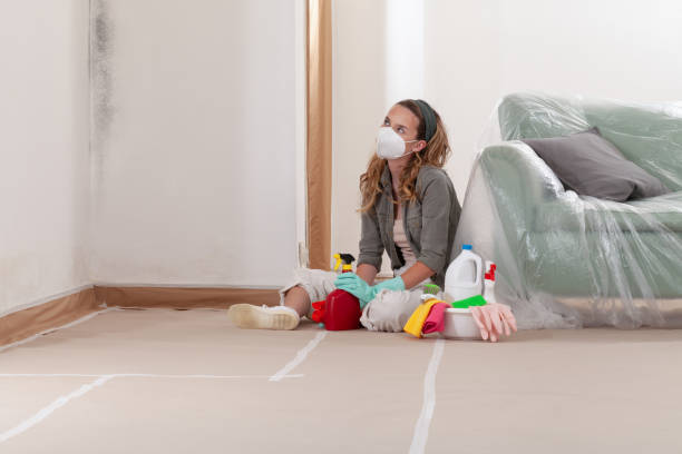 Reliable Mold Remediation contractor in Cherry Creek, CO by 24 Hour Mold Removal